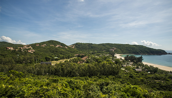 Chìm đắm trong không gian resort mái lá, nhà gỗ và mây tre ở Phú Yên