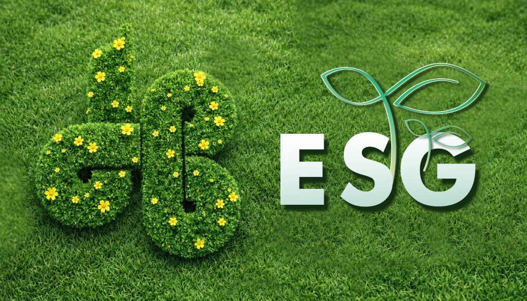 ESG trong mạch nguồn văn hóa doanh nghiệp Hòa Bình
